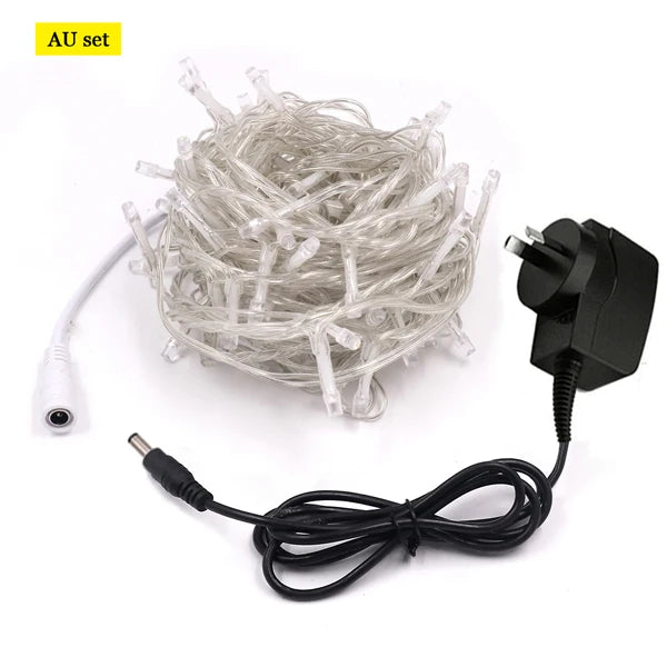 10m 20m 100m LED String Light Xmas Outdoor Christmas Lights 12V DC Dimmable Waterproof Fairy Light Wedding Party Holiday Lights