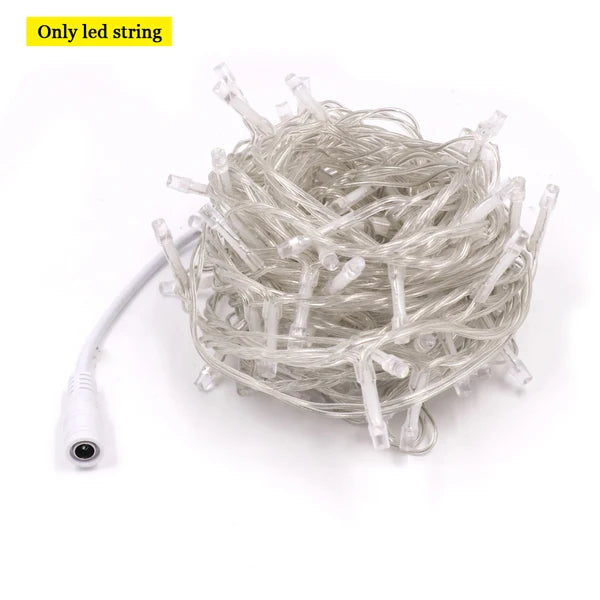 10m 20m 100m LED String Light Xmas Outdoor Christmas Lights 12V DC Dimmable Waterproof Fairy Light Wedding Party Holiday Lights