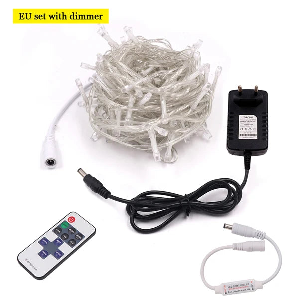 10m 20m 100m LED String Light Xmas Outdoor Christmas Lights 12V DC Dimmable Waterproof Fairy Light Wedding Party Holiday Lights